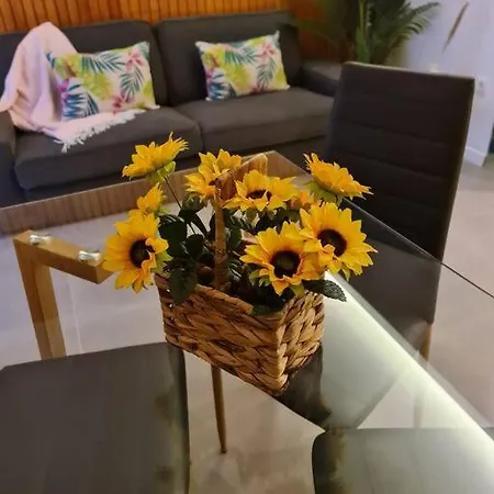 Insoli I By Apartments2stay Apartman *